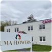 Uma Flowers